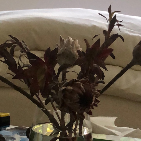 Additional shipping - Picture 1 of 1